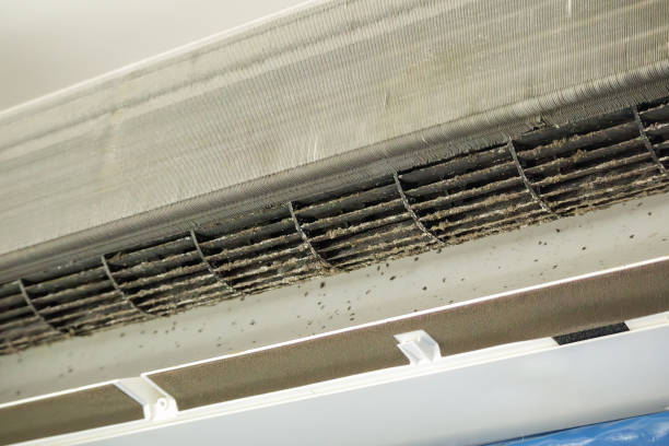 Best Air Duct Cleaning Cost  in Point Mackenzie, AK
